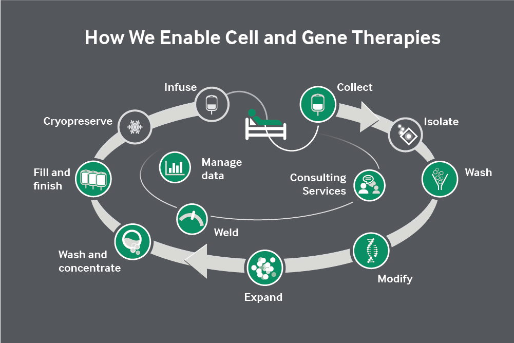 Terumo Blood And Cell Technologies And GenCure Collaborate To Advance ...